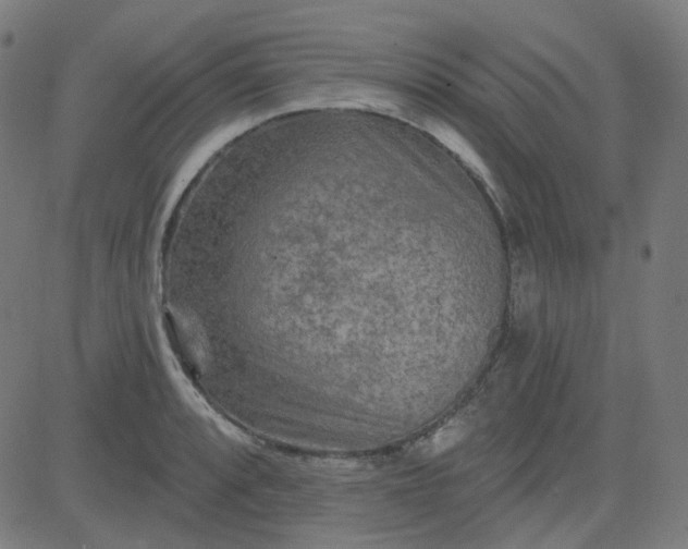 X0000084601088200703091922