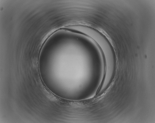 X0000084601089200703091922