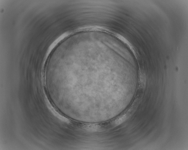 X0000084601090200703091922