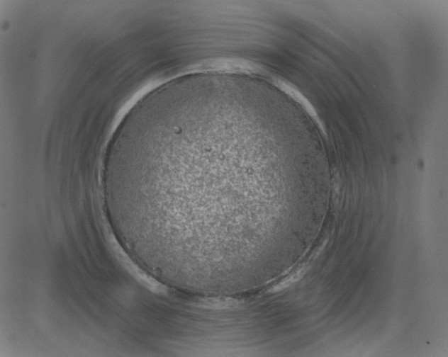 X0000084601091200703091922