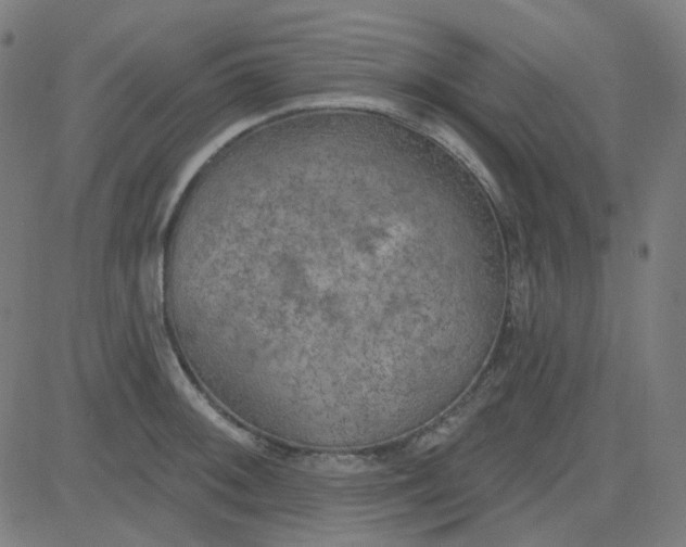 X0000084601092200703091922