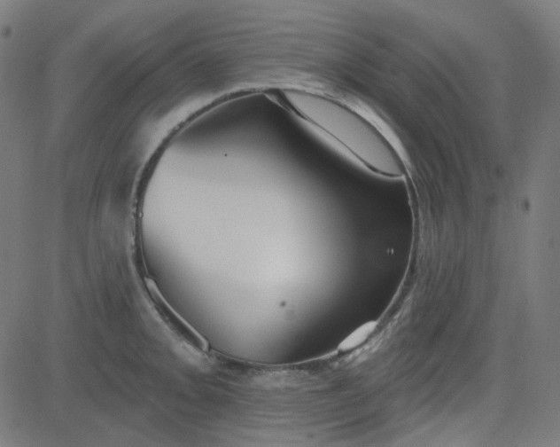 X0000084601093200703091922