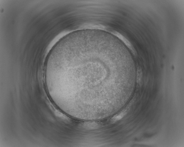 X0000084601094200703091922