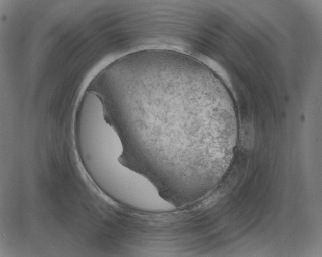 X0000084601096200703091922