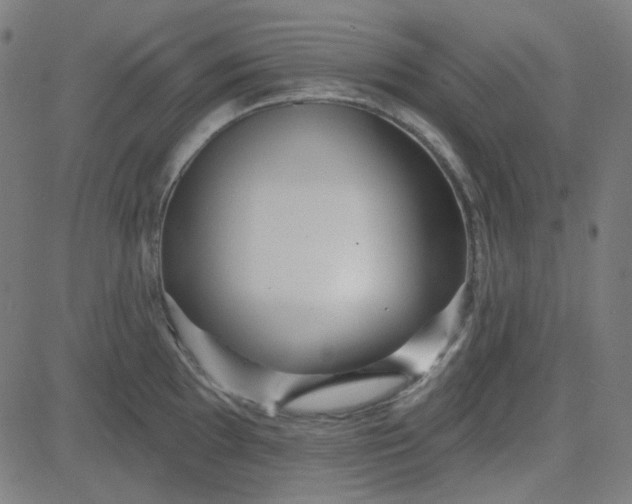 X0000084601097200703091922