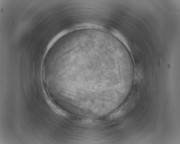 X0000084601098200703091922