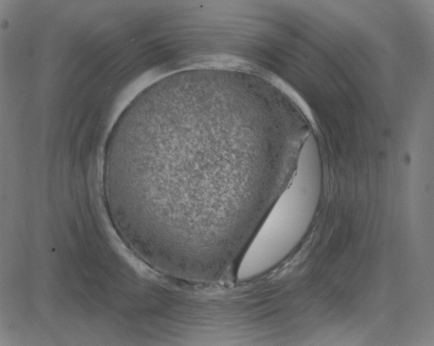 X0000084601099200703091922