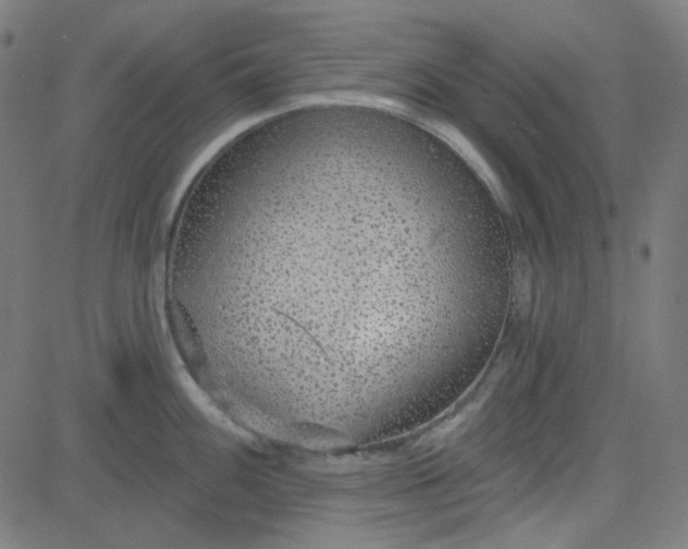 X0000084601100200703091922