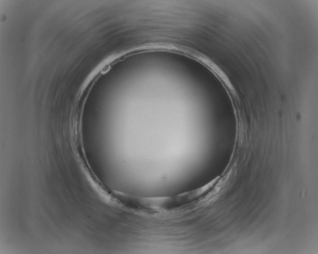 X0000084601101200703091922