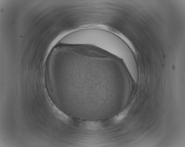 X0000084601102200703091922