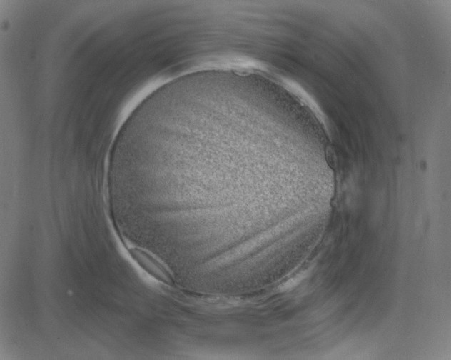 X0000084601103200703091922