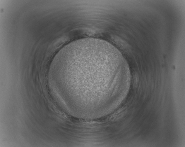 X0000084601105200703091921