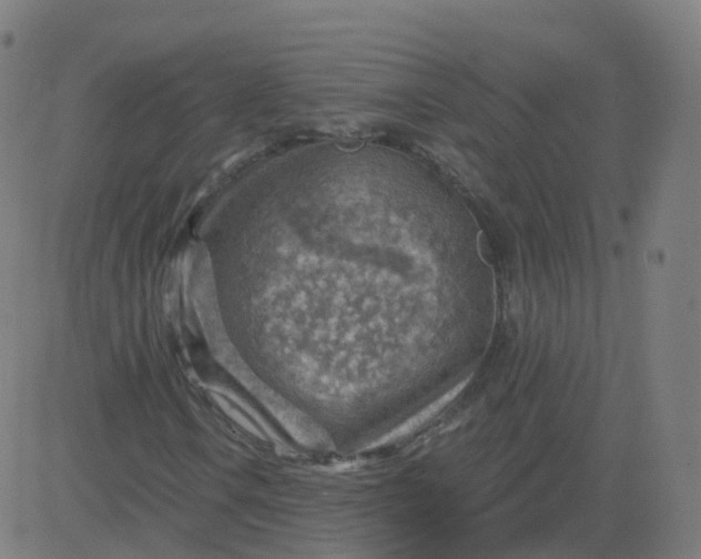 X0000084601106200703091921