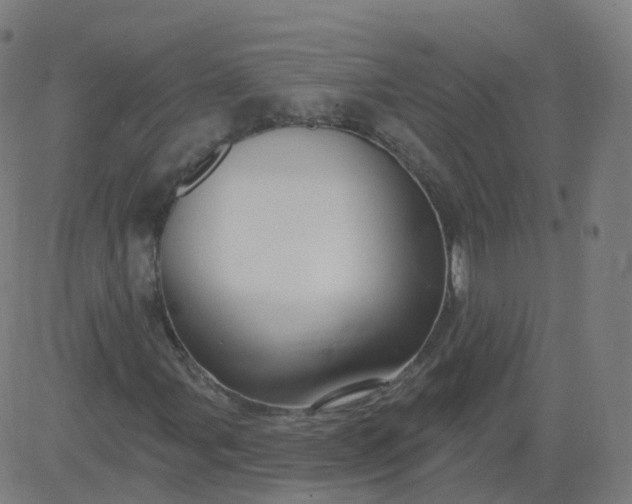 X0000084601107200703091921