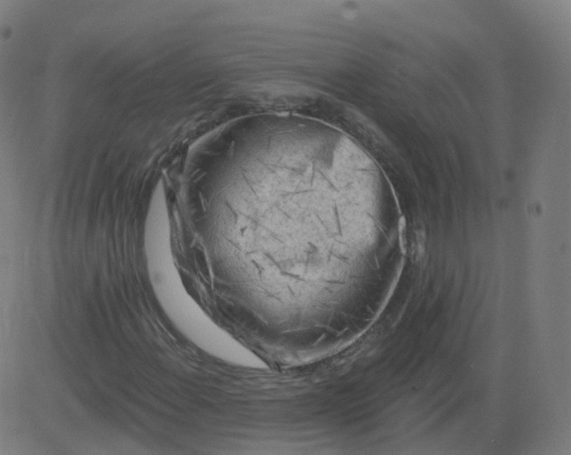 X0000084601108200703091921