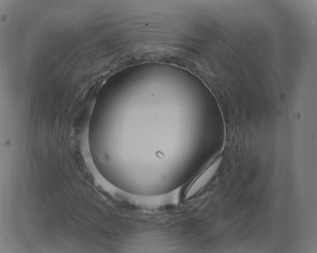 X0000084601109200703091921