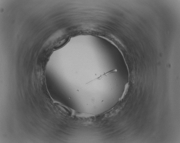 X0000084601111200703091921