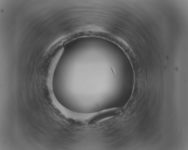 X0000084601112200703091921