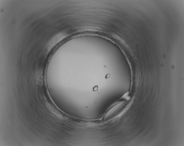 X0000084601113200703091921