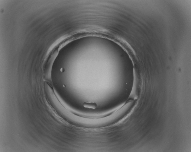 X0000084601114200703091922