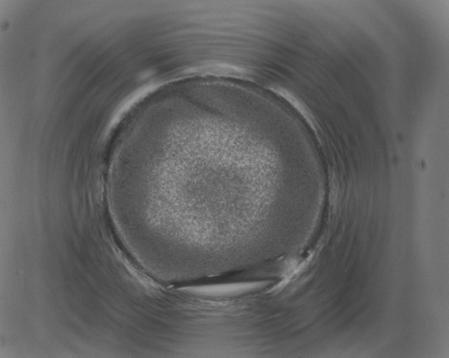 X0000084601115200703091922