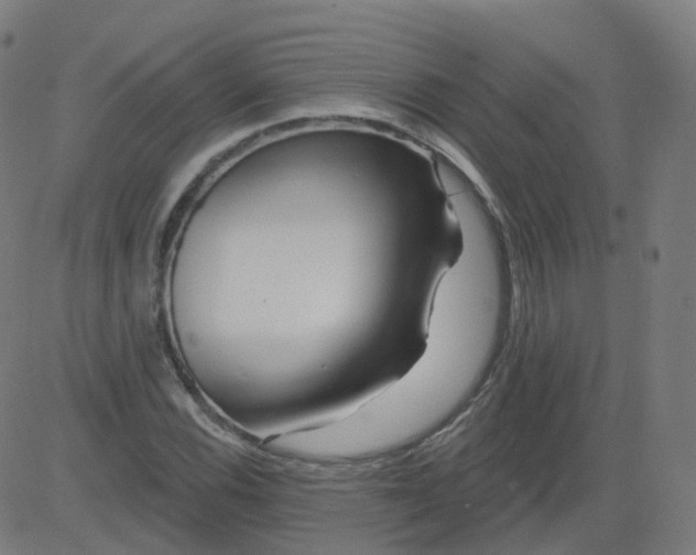 X0000084601116200703091922