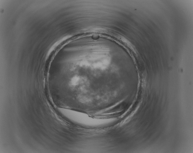 X0000084601117200703091922