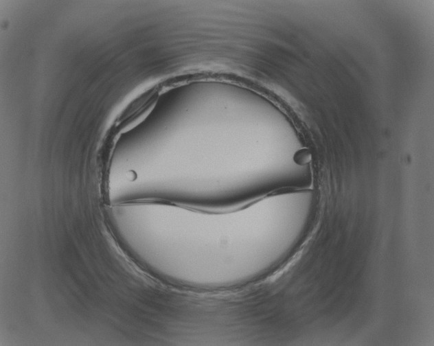 X0000084601118200703091922