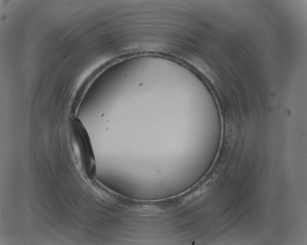 X0000084601119200703091922