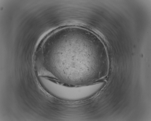 X0000084601120200703091922