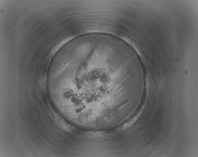 X0000084601121200703091922