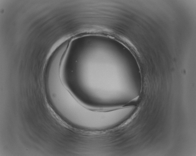 X0000084601122200703091922