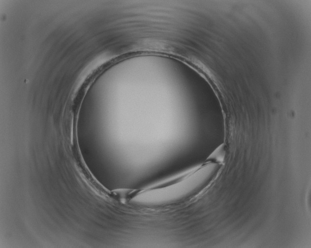 X0000084601123200703091922