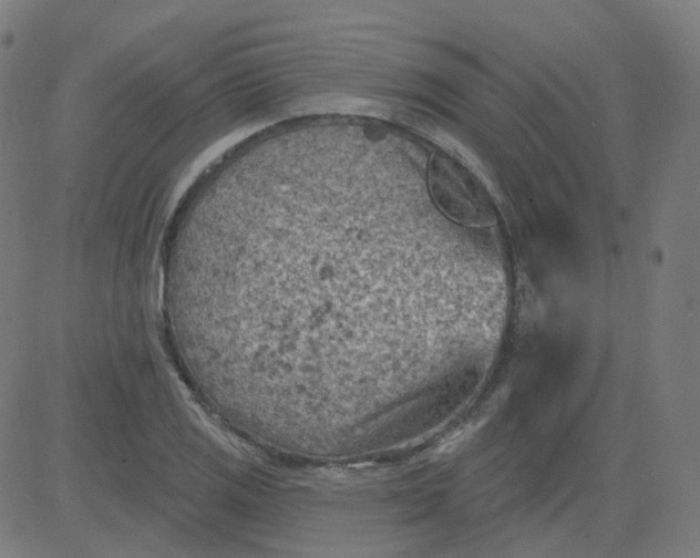 X0000084601125200703091922