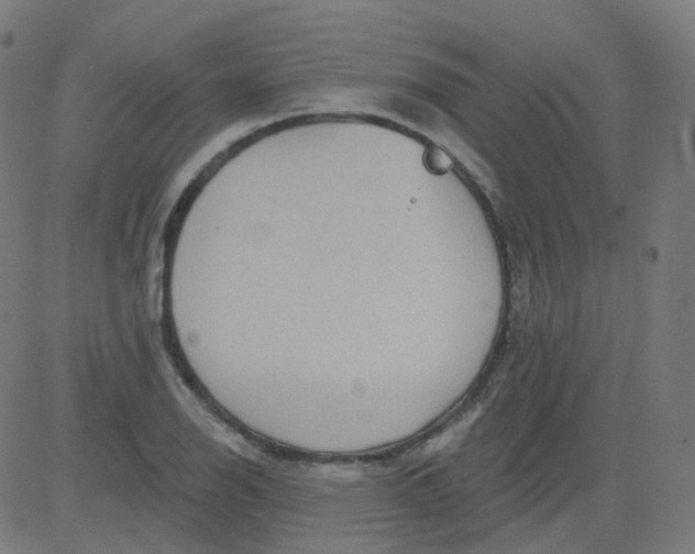 X0000084601126200703091922