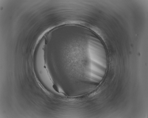 X0000084601127200703091922