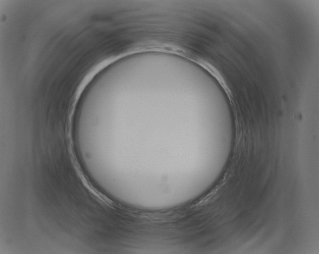 X0000084601128200703091922