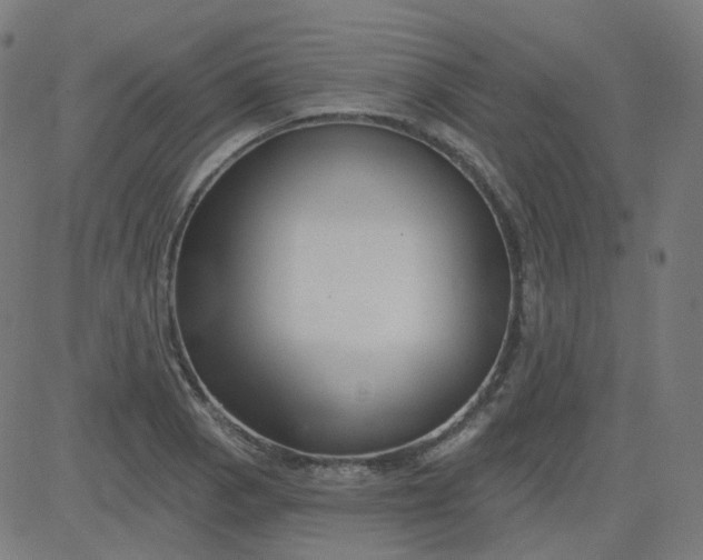 X0000084601129200703091922