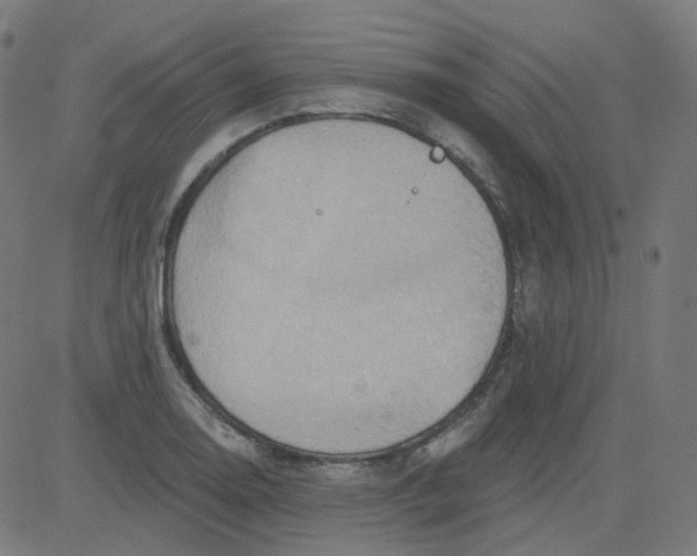 X0000084601130200703091922