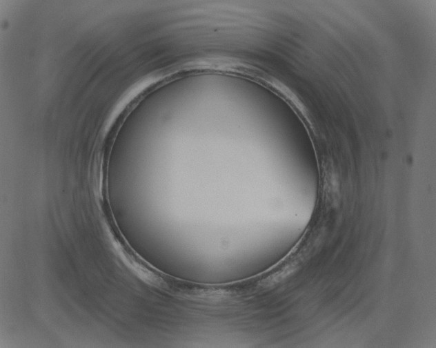 X0000084601131200703091922