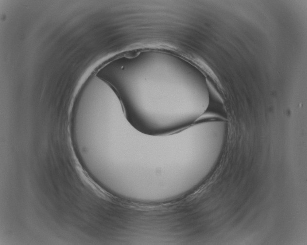 X0000084601132200703091922