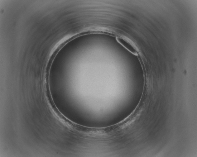 X0000084601133200703091922