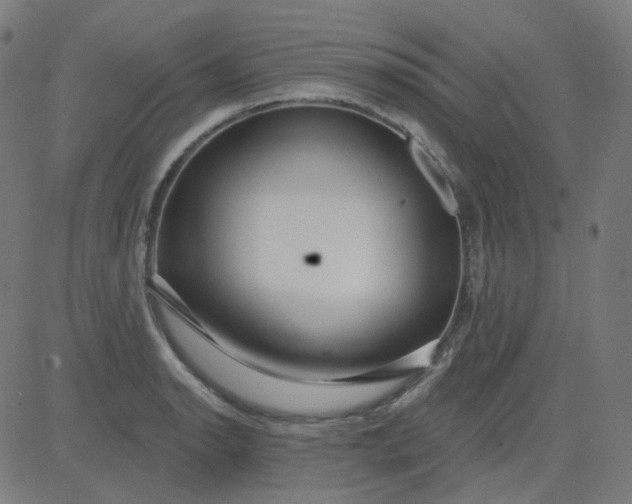 X0000084601134200703091922