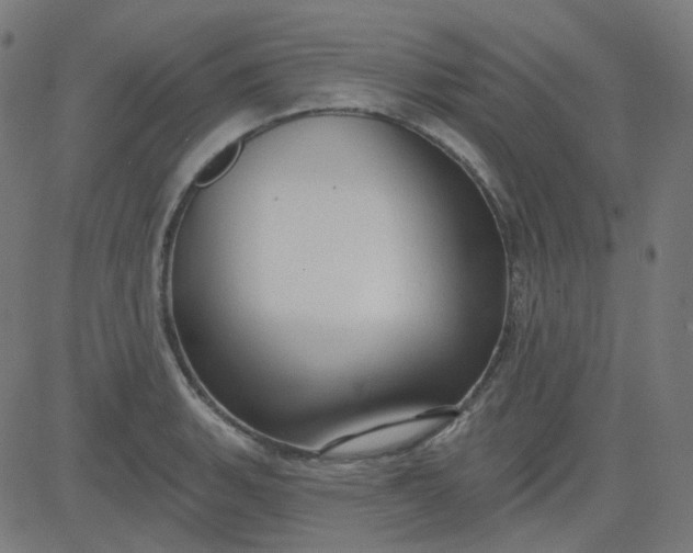 X0000084601135200703091922