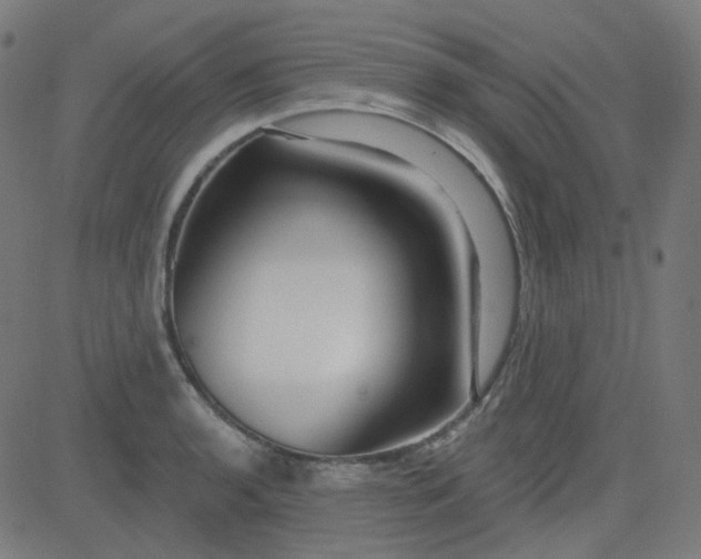 X0000084601136200703091922