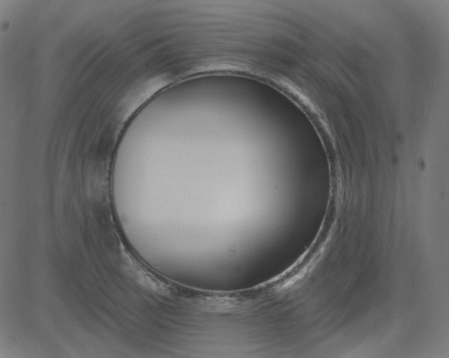 X0000084601137200703091922