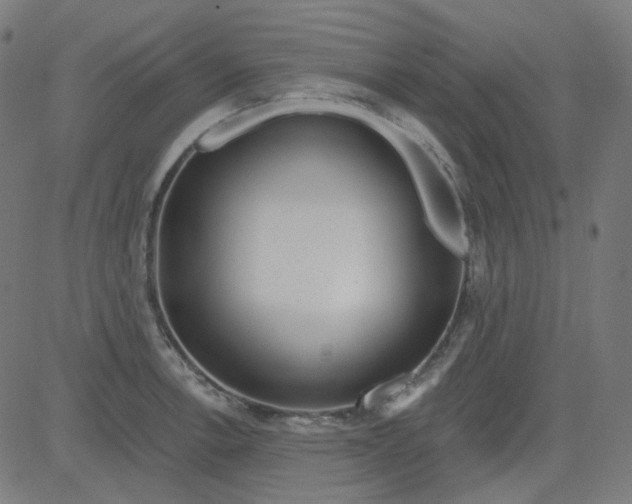 X0000084601138200703091922