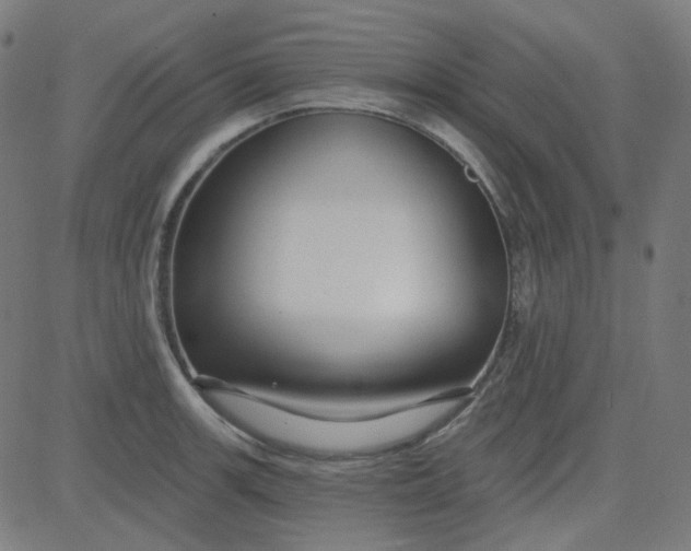 X0000084601139200703091922