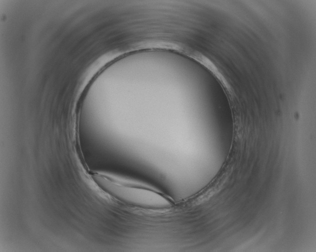 X0000084601140200703091922