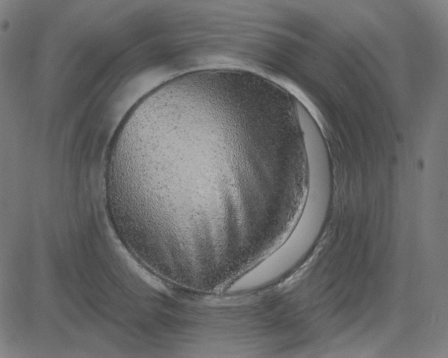 X0000084601142200703091922